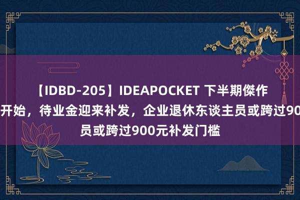 【IDBD-205】IDEAPOCKET 下半期傑作集2009 七月开始，待业金迎来补发，企业退休东谈主员或跨过900元补发门槛