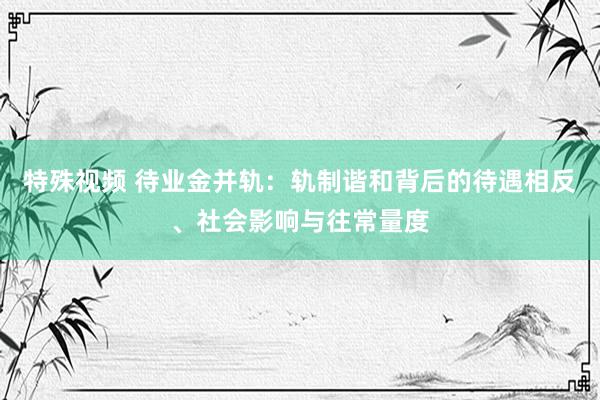 特殊视频 待业金并轨：轨制谐和背后的待遇相反、社会影响与往常量度