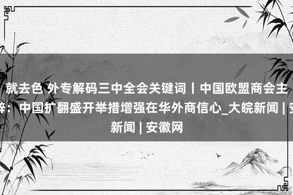 就去色 外专解码三中全会关键词丨中国欧盟商会主席彦辞：中国扩翻盛开举措增强在华外商信心_大皖新闻 | 安徽网