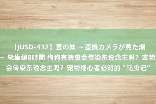 【JUSD-432】妻の妹 ～盗撮カメラが見た爆乳の妹を襲う男の遍歴～ 総集編8時間 狗狗有蜱虫会传染东说念主吗？宠物细心者必知的“爬虫记”