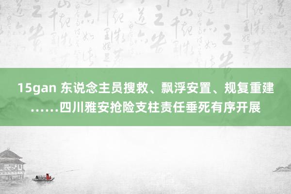 15gan 东说念主员搜救、飘浮安置、规复重建……四川雅安抢险支柱责任垂死有序开展