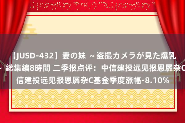 【JUSD-432】妻の妹 ～盗撮カメラが見た爆乳の妹を襲う男の遍歴～ 総集編8時間 二季报点评：中信建投远见报恩羼杂C基金季度涨幅-8.10%