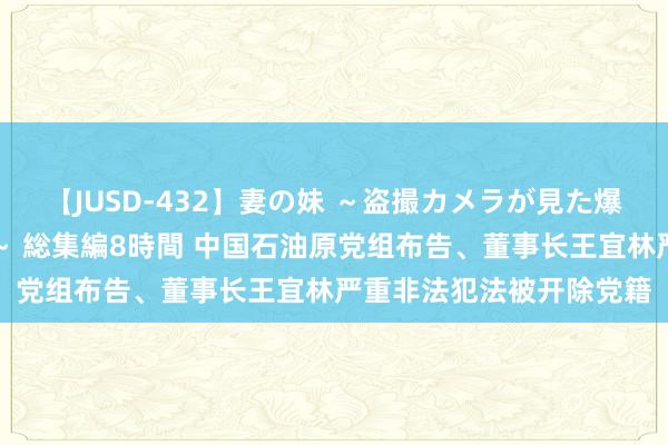 【JUSD-432】妻の妹 ～盗撮カメラが見た爆乳の妹を襲う男の遍歴～ 総集編8時間 中国石油原党组布告、董事长王宜林严重非法犯法被开除党籍