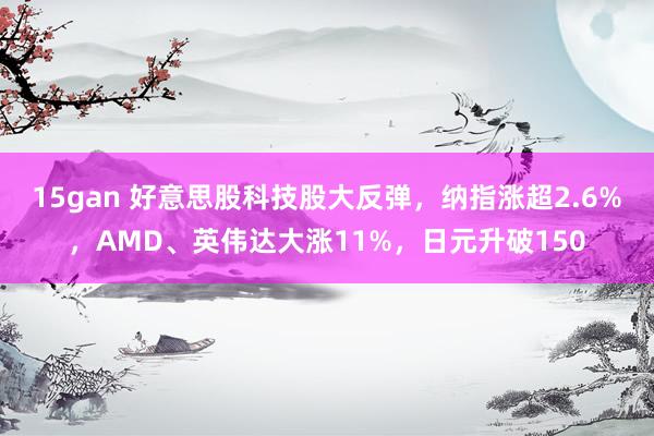 15gan 好意思股科技股大反弹，纳指涨超2.6%，AMD、英伟达大涨11%，日元升破150