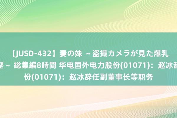 【JUSD-432】妻の妹 ～盗撮カメラが見た爆乳の妹を襲う男の遍歴～ 総集編8時間 华电国外电力股份(01071)：赵冰辞任副董事长等职务