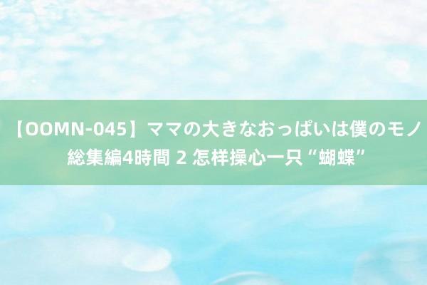 【OOMN-045】ママの大きなおっぱいは僕のモノ 総集編4時間 2 怎样操心一只“蝴蝶”