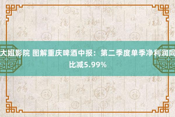 大姐影院 图解重庆啤酒中报：第二季度单季净利润同比减5.99%