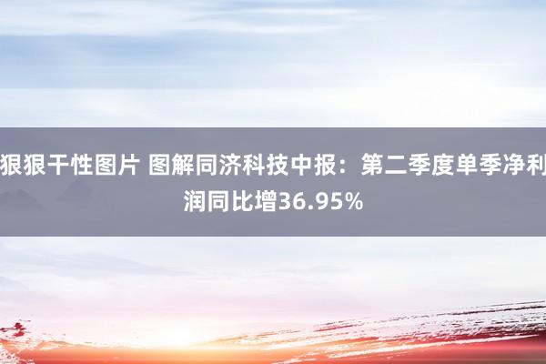 狠狠干性图片 图解同济科技中报：第二季度单季净利润同比增36.95%