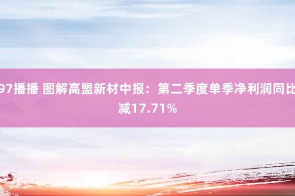 97播播 图解高盟新材中报：第二季度单季净利润同比减17.71%