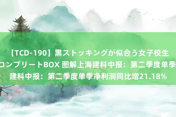 【TCD-190】黒ストッキングが似合う女子校生は美脚ニューハーフ コンプリートBOX 图解上海建科中报：第二季度单季净利润同比增21.18%