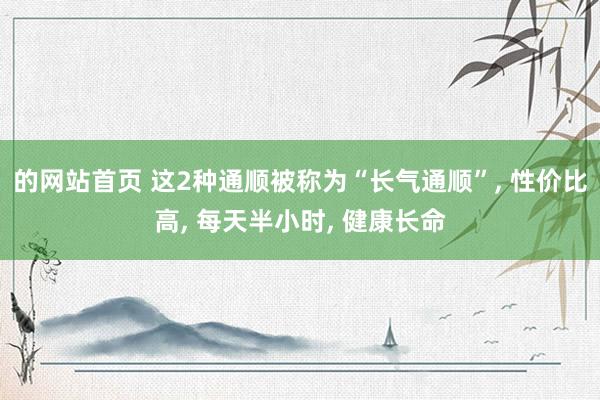 的网站首页 这2种通顺被称为“长气通顺”， 性价比高， 每天半小时， 健康长命