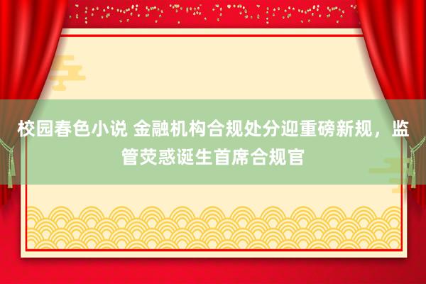 校园春色小说 金融机构合规处分迎重磅新规，监管荧惑诞生首席合规官