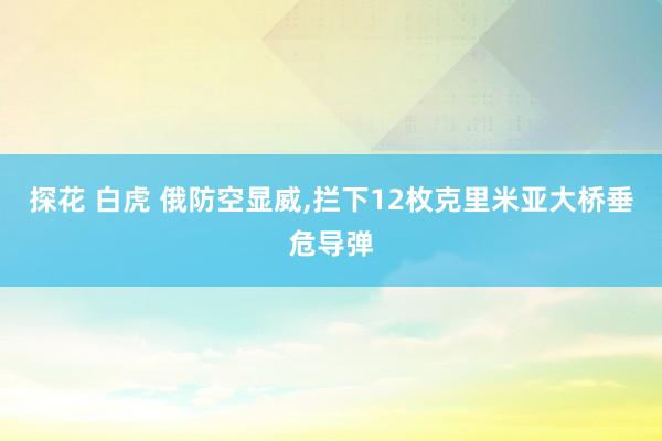 探花 白虎 俄防空显威，拦下12枚克里米亚大桥垂危导弹