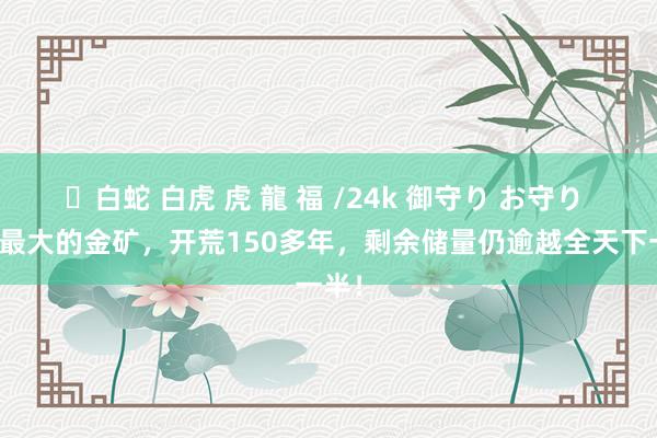 ✨白蛇 白虎 虎 龍 福 /24k 御守り お守り 天下最大的金矿，开荒150多年，剩余储量仍逾越全天下一半！