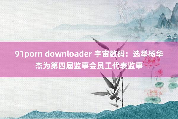 91porn downloader 宇宙数码：选举杨华杰为第四届监事会员工代表监事