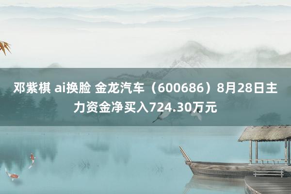 邓紫棋 ai换脸 金龙汽车（600686）8月28日主力资金净买入724.30万元