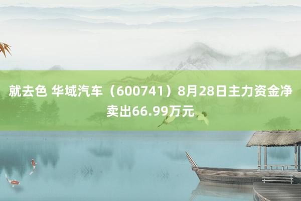 就去色 华域汽车（600741）8月28日主力资金净卖出66.99万元