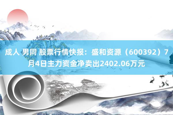 成人 男同 股票行情快报：盛和资源（600392）7月4日主力资金净卖出2402.06万元