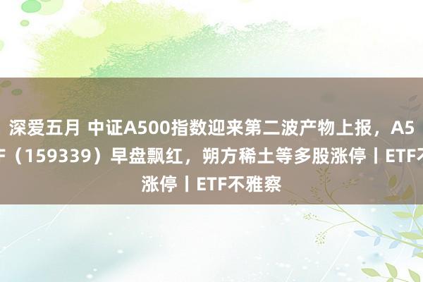 深爱五月 中证A500指数迎来第二波产物上报，A500ETF（159339）早盘飘红，朔方稀土等多股涨停丨ETF不雅察